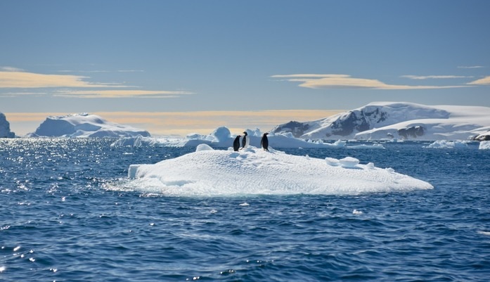 Pinguins em um iceberg