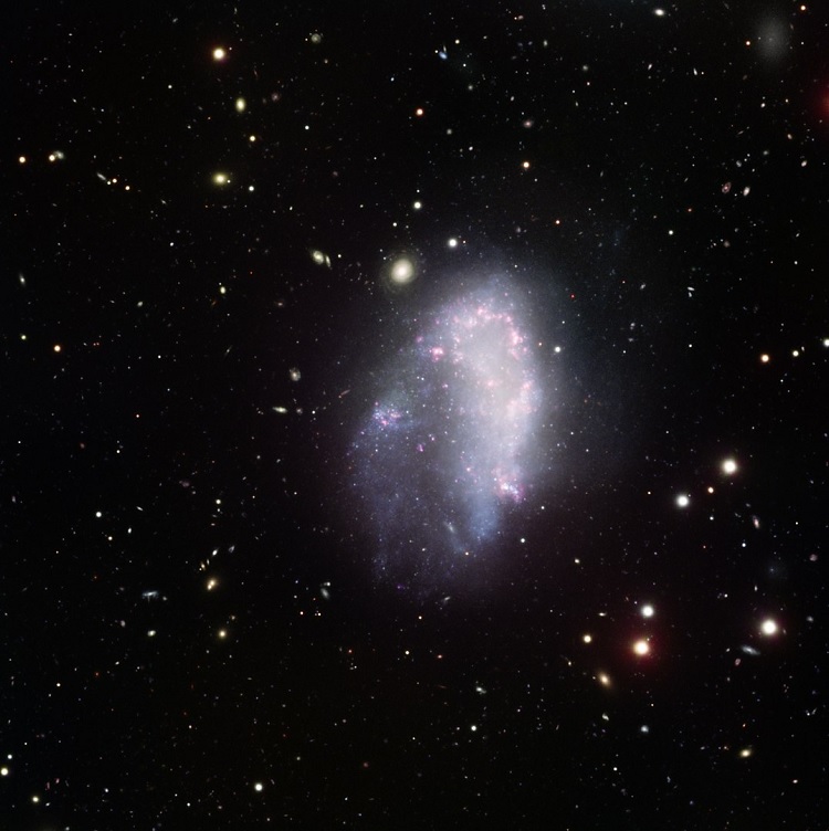 Galáxia anã no Aglomerado Fornax