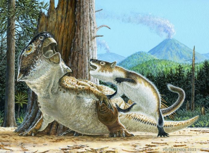 Ilustração mostra o ataque do mamífero ao dinossauro