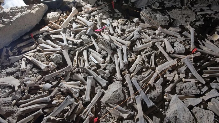 Pilha de ossos encontrados na caverna
