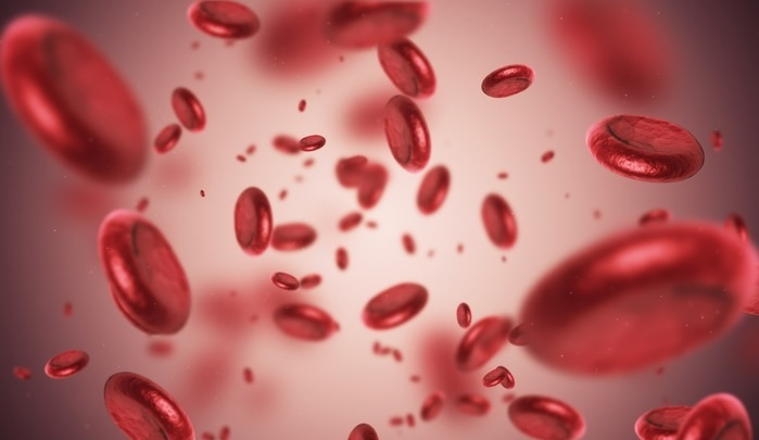 Glóbulos vermelhos - Sangue