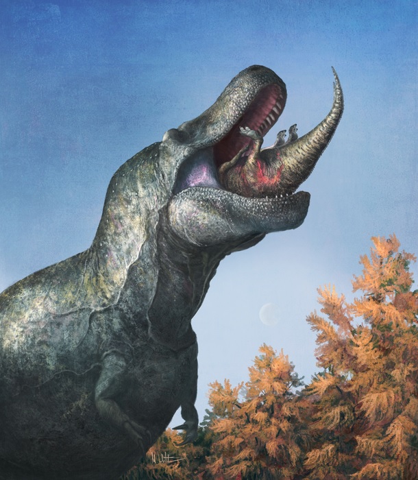 Tiranossauro rex