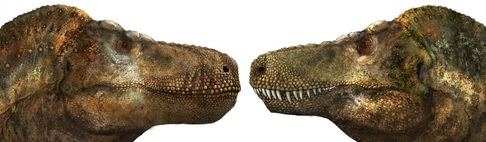 Comparação entre as representações dos dentes de tiranossauros