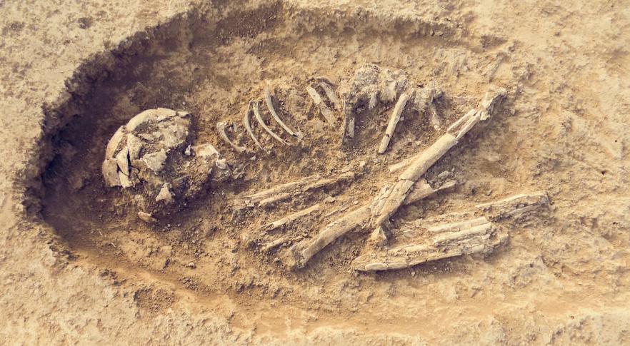 fossil-ossada-humana