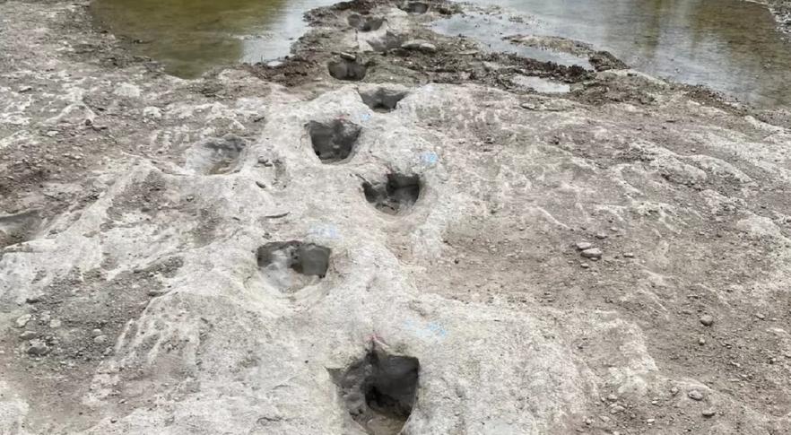Pegadas de dinossauro em rio que secou no Texas