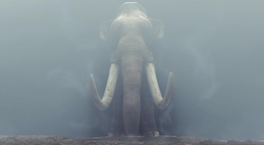 Elefante com presas gigantes