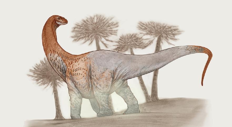 Chucarosaurus diripienda