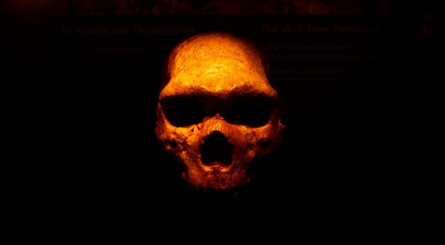 Crânio de neandertal