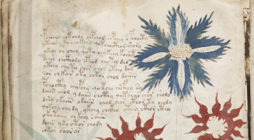 Manuscrito Voynich