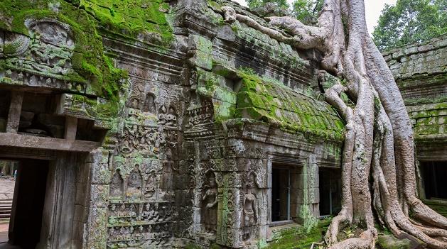 Imensa rede de cidades é descoberta escondida sob vegetação no Camboja-0