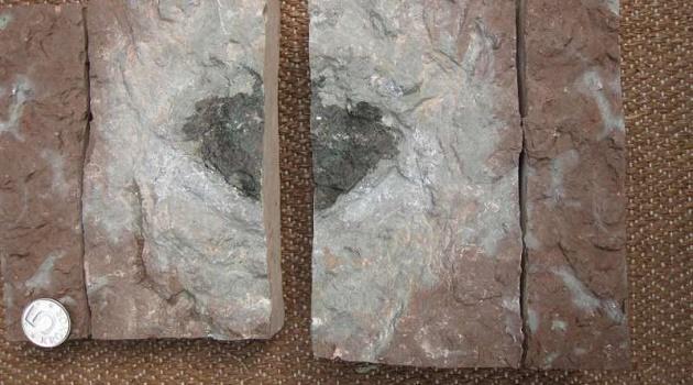 Misteriosa pedra alienígena é encontrada na Suécia-0