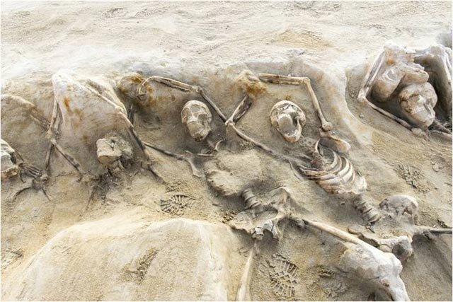 Golpe fracassado: teoria explica corpos da Antiga Grécia encontrados em vala-0