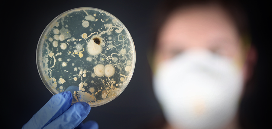 Cientistas descobrem bactéria que pode prolongar a vida até os 120 anos-0