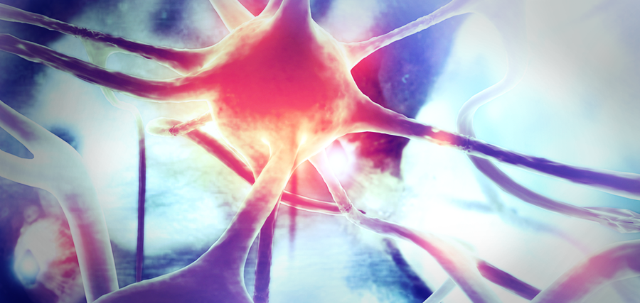 Neurônio gigante pode explicar a origem da consciência-0