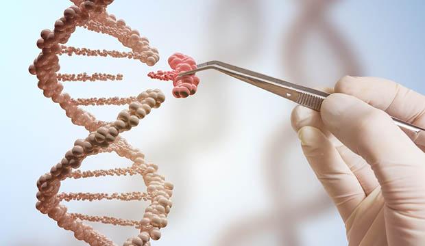 Microsoft anuncia armazenamento de dados em DNA-0