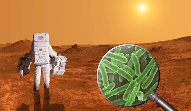 Um simples fungo pode acabar com o sonho de colonizar Marte-0