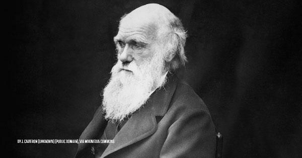 Darwin, evolução e nazismo-0