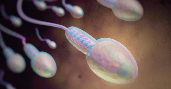 Má qualidade do esperma pode levar humanidade à extinção-0