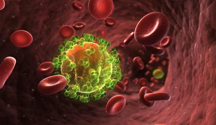 Mais próximo da cura: cientistas criam anticorpo que ataca 99% das cepas do HIV-0