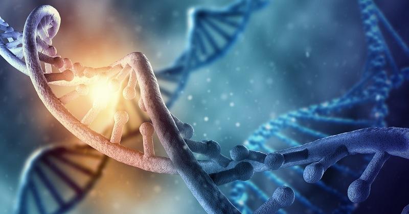 O DNA de um bebê de 11,5 mil anos muda a história do povoamento da América-0