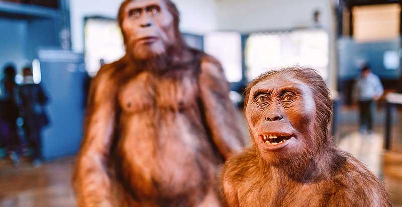 Estudo indica que Homo Sapiens se espalhou pela Ásia antes do que se acreditava-0