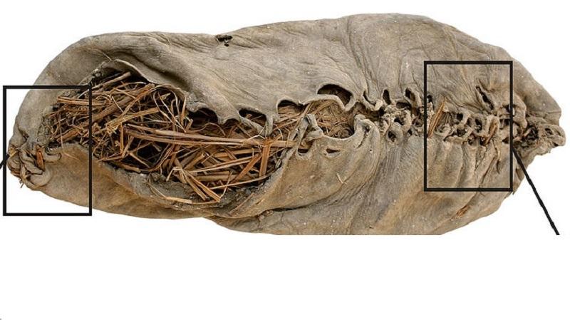 Quantos anos tem o primeiro sapato de couro descoberto no mundo?-0