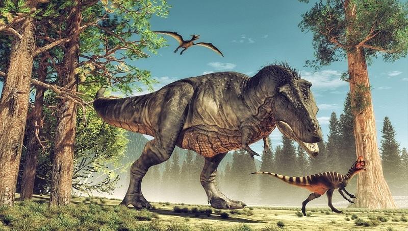Para que serviam os pequenos braços do Tiranossauro Rex?-0