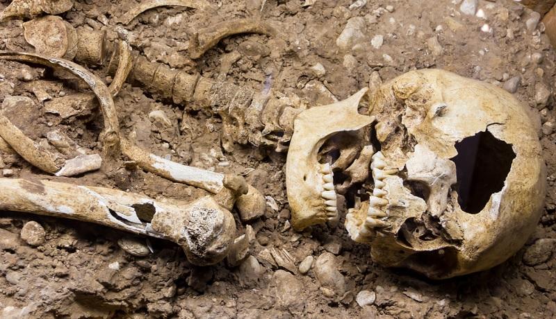 Esqueleto de "guerreiro-vampiro" intriga arqueólogos na Inglaterra-0
