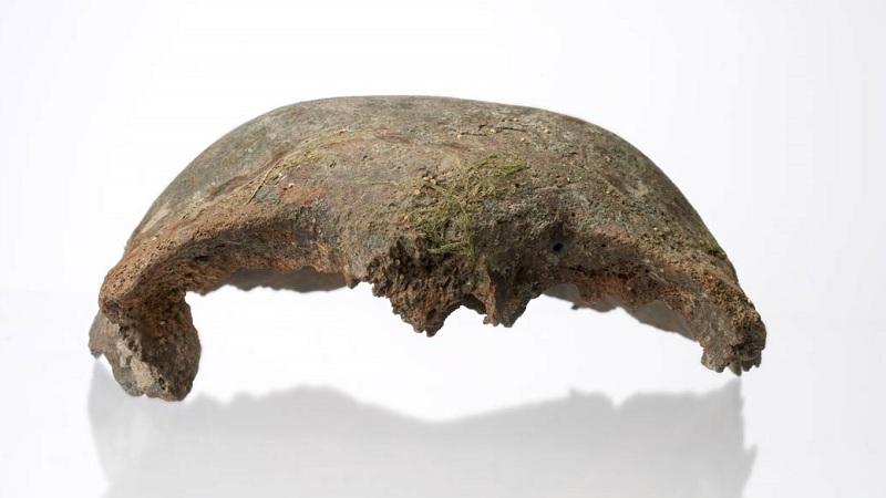 Crânio de 5600 anos é encontrado por acaso no Rio Tâmisa, em Londres-0