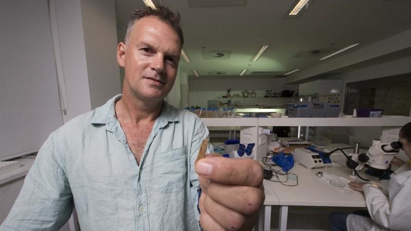 Pesquisadores descobrem kit de tatuagem de quase três mil anos-0