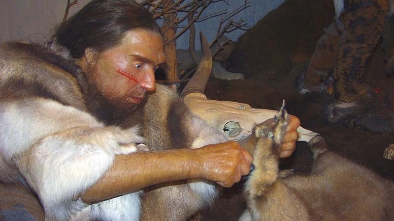 Mudanças climáticas podem ter levado neandertais ao canibalismo-0