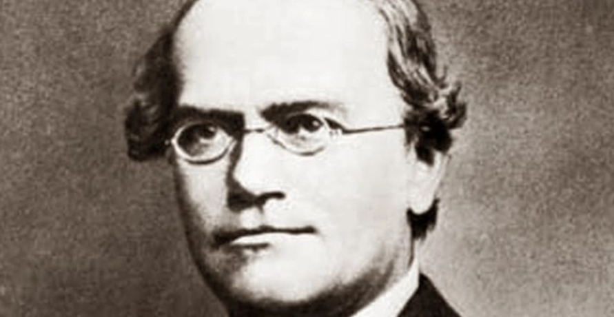 Nasce Gregor Mendel-0