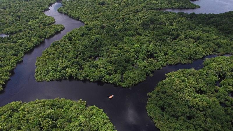 Entenda por que a Amazônia não é o pulmão do mundo -0