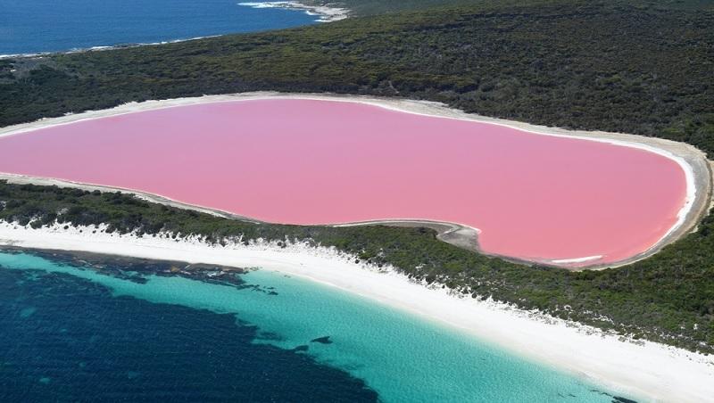 Mergulhe na história deste lago australiano cor-de-rosa -0