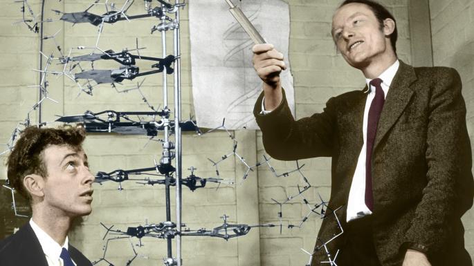 James Watson e Francis Crick anunciam a descoberta do DNA-0