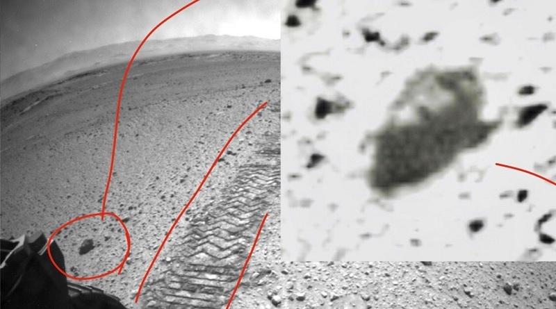 Professor universitário dos EUA afirma que identificou insetos e répteis em Marte-0