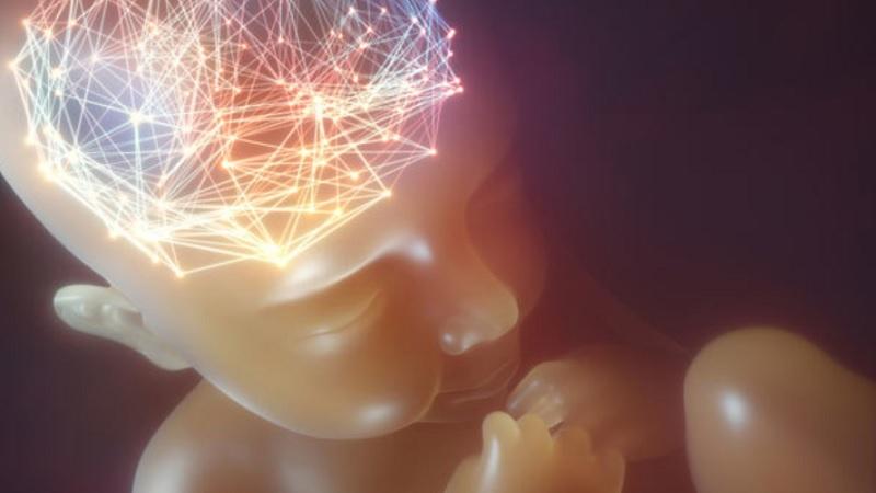 O cérebro do bebê é o computador mais inteligente que se conhece, diz renomado cientista-0