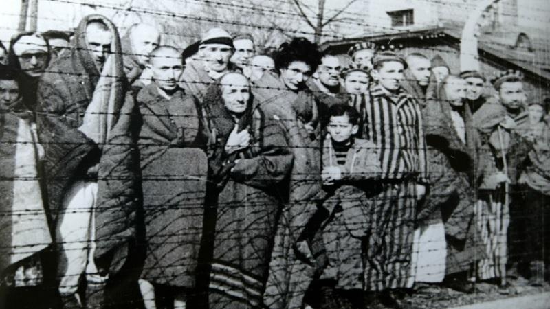 Casal de judeus sobreviventes de Auschwitz se reencontra após 72 anos nos EUA-0