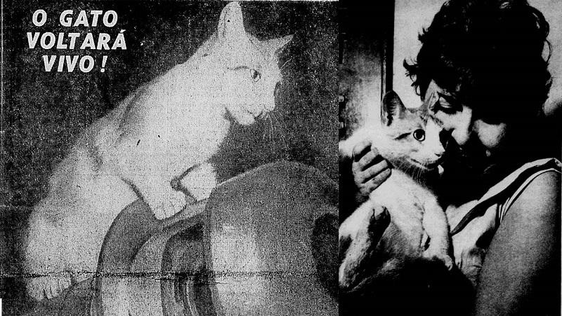 A incrível história do gato Flamengo, que o Brasil planejava lançar ao espaço em 1958-0