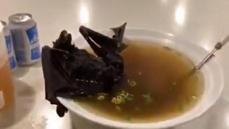 Surto de coronavírus da China pode ter sido provocado por sopa de morcego (ou de cobra)-0