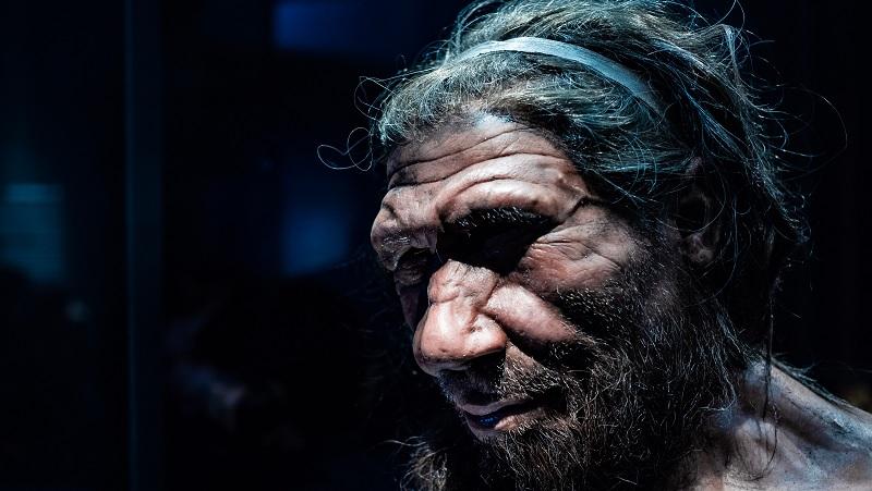 Estudo revela que os neandertais sabiam nadar e mergulhar-0