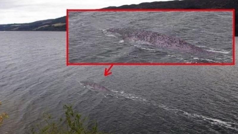 Mistério sobre nova aparição do Monstro do Lago Ness é desvendado-0