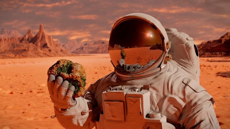 NASA lança plataforma para que internautas ajudem a explorar Marte-0