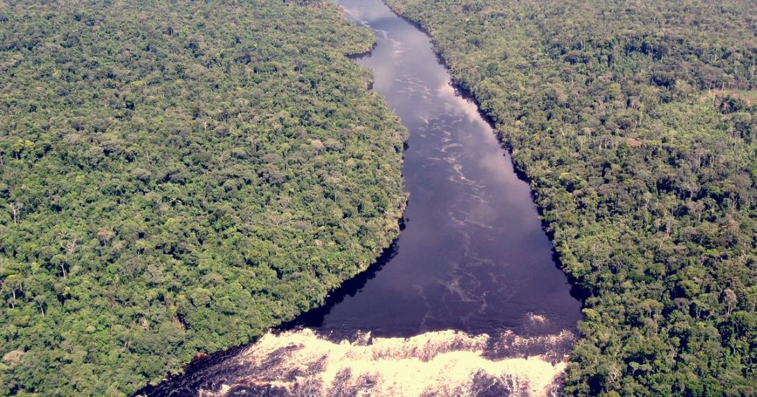 05/09 Dia da Amazônia: quando Amazonas foi elevado à categoria de Província-Estado -0