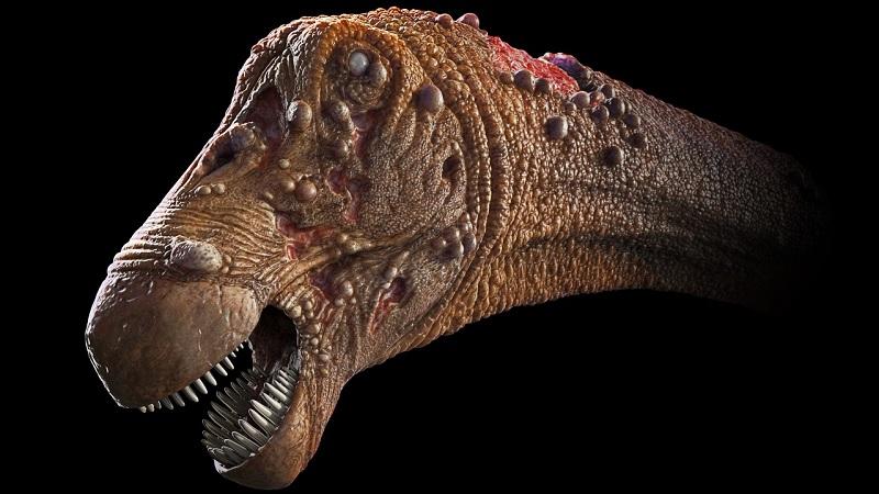 Cientistas brasileiros fazem descoberta inédita de parasita em osso de "dinossauro zumbi"-0