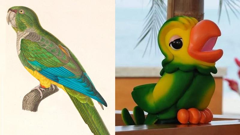 De Pero Vaz de Caminha ao Louro José: os papagaios e a história do Brasil-0