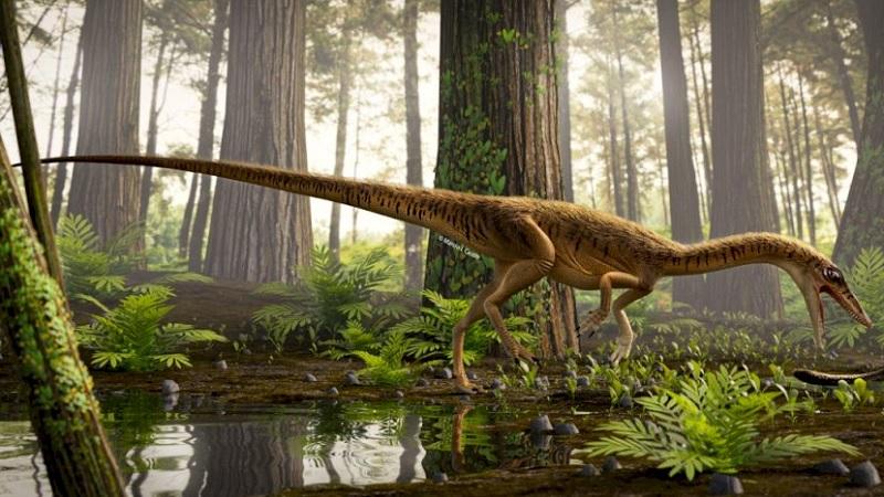 Fóssil do mais antigo parente do Tiranossauro rex é encontrado no sul do Brasil-0