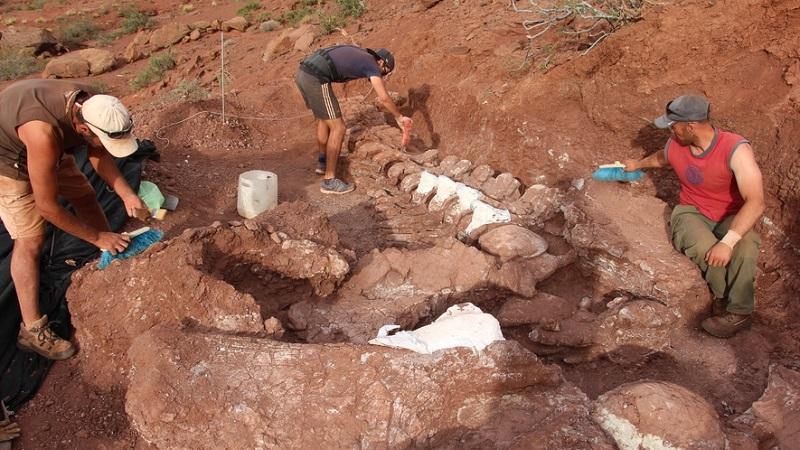 Dinossauro gigante encontrado na Argentina pode ter sido o maior animal da face da Terra-0