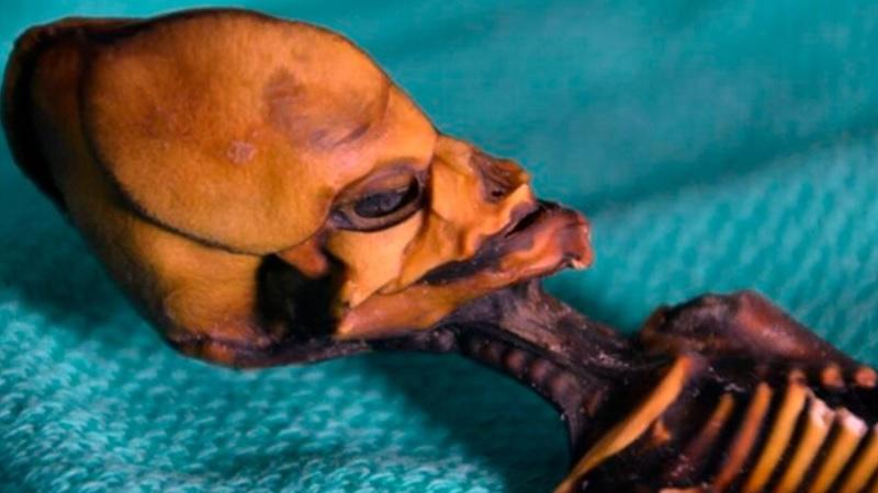 A incrível história da "múmia extraterrestre" encontrada no Chile-0