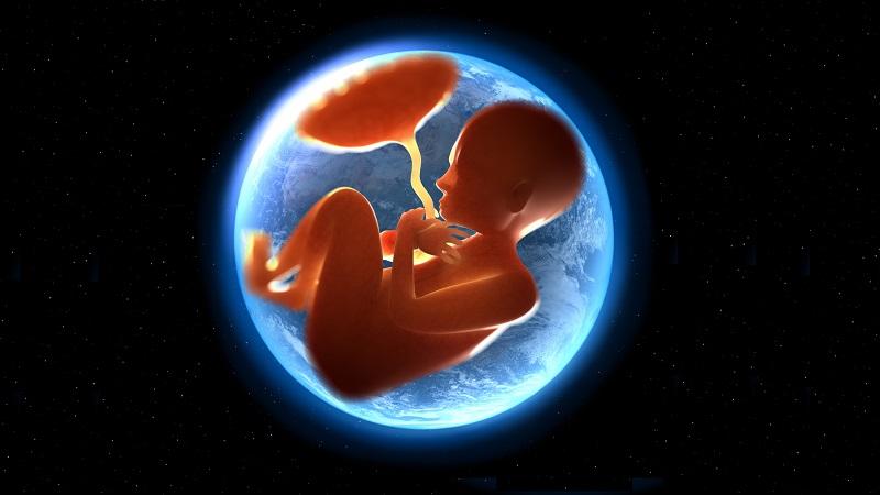 Especialista prevê quando nascerá o primeiro bebê espacial-0